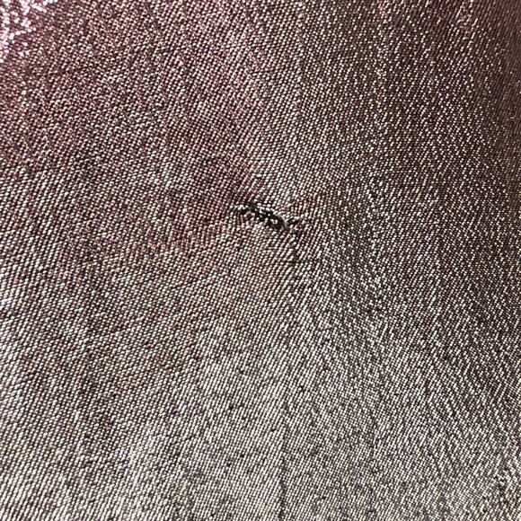 Badgley Mischka Metallic Cropped Trousers Pants Tie-Waist Size 2 Gray - Picture 8 of 8